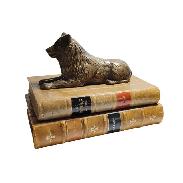 Vintage Sculpture ~ Bronze Wolf Lying on Top of a Book For Sale In Atlanta - Image 6 of 12