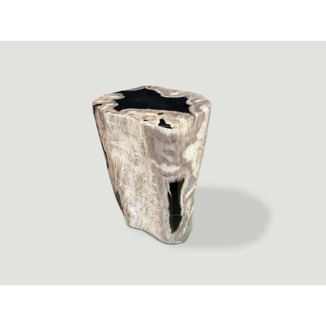 Andrianna Shamaris Abstract High Quality Petrified Wood Side Table For Sale - Image 4 of 5