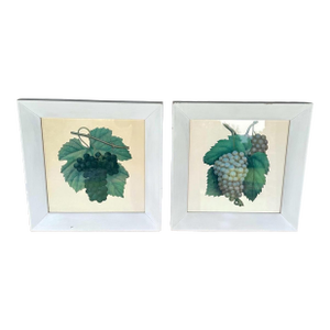 Antique Framed Botanical Grape Prints – Set of 2 – Green & Purple Grapes – Behind Glass