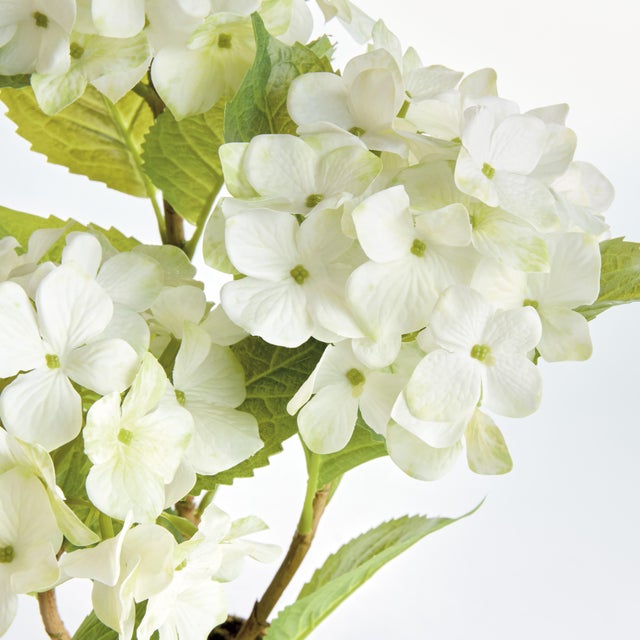 The Hydrangea Dropin is an incredible representation of true botanicals in feel, color and form. Place in a feature bowl,...