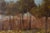 Golden Landscape with Distant Settlement, Reminiscent of Orange Road, Tarpon Springs, 1890s, Oil on Canvas For Sale - Image 3 of 7