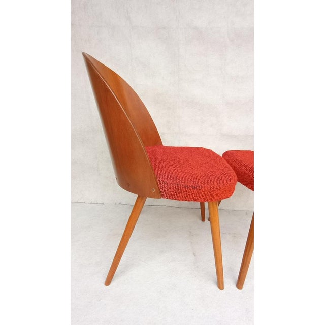 Brown Mid-Century Dining Chairs by Antonin Suman, 1960s, Set of 2 For Sale - Image 8 of 13