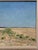 French Sunny Field in Champagne - Armand Guéry, Signed Oil on Canvas, 19th Century For Sale - Image 3 of 11