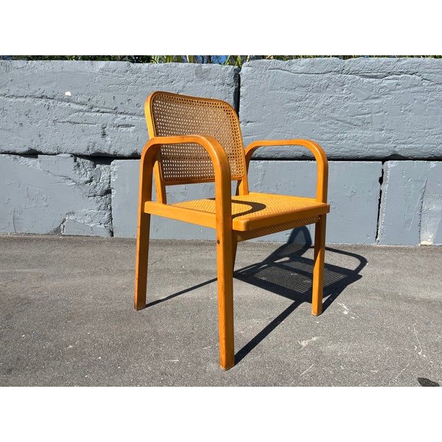 1960s Bentwood and Cane Arm Chair, 1960 For Sale - Image 5 of 13