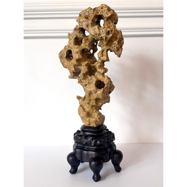 Early 20th Century Chinese Yellow Scholar Taihu Stone on Wood Stand For Sale - Image 5 of 13