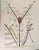 Hand Signed and numbered. Edition of 99 pieces. Hand colored. Very good condition. This piece is attributed to the...