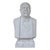 Stone 19th Century White Marble Bust of a Man For Sale - Image 7 of 7
