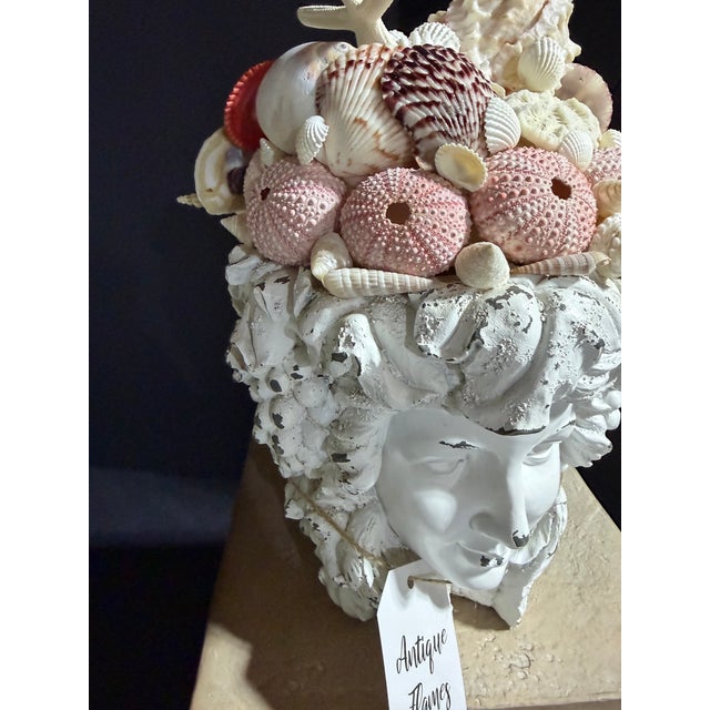 Celestial Meets the Sea, Shell Incrusted Bust For Sale - Image 9 of 14