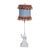 Vintage White Lacquered Berman Camel Lamp With Custom Tassel Fringe Shade - Newly Painted For Sale