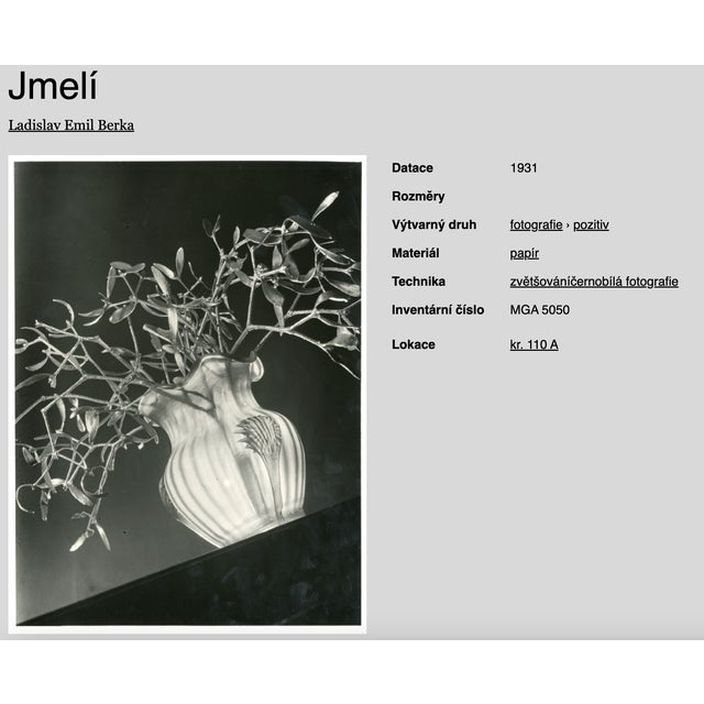 Modern L. E. Berka, Mistletoe, 1931, Signed Gelatin Silver Print For Sale - Image 3 of 7