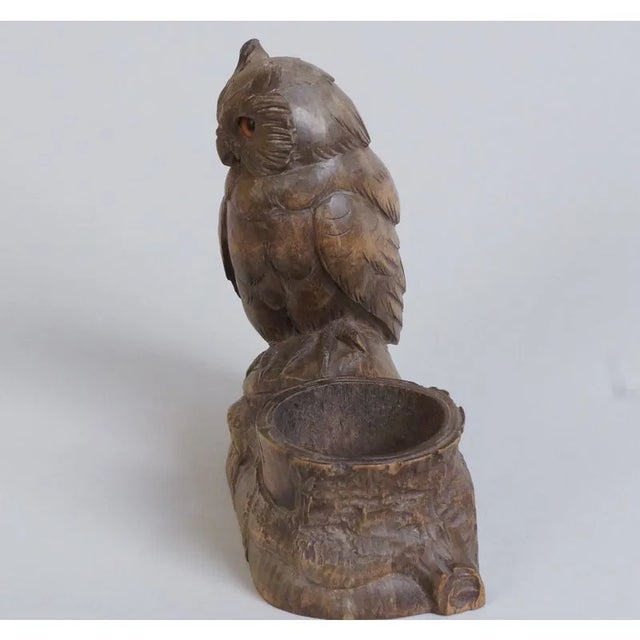 Rustic Circa 1910 Black Forest Owl For Sale - Image 3 of 7