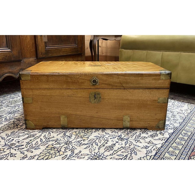 Early 20th Century Camphor Wood Chest For Sale - Image 3 of 14