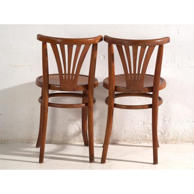 Bentwood Chairs in the style of Thonet, Hungary, 1960, Set of 2 For Sale - Image 10 of 15