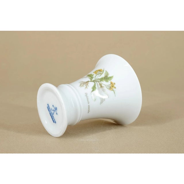 Diplotaxis Muralis Vase from Fürstenberg Porzellan, 1980s For Sale - Image 4 of 7