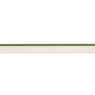 Schumacher Gustave Silk Lip Cord Narrow Trim In Green For Sale
