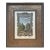Large Vintage John-Richard “Hortus Nucum” Framed Botanical Print After i.g. Pintz For Sale