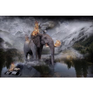 Amazonia by Marcin Owczarek | Photography - Dye Sublimation on Aluminum of a surreal elephant scene For Sale