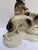 Borzoi Greyhounds Porcelain Figurine by Cortendorf Company, 1950s For Sale - Image 4 of 11