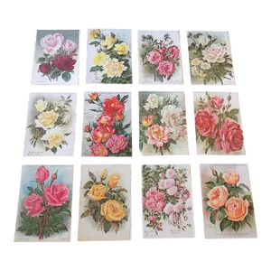 Antique Botanical Lithographs of Roses - Set of 12