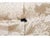 Vintage Classic Tufted Silk Loveseat For Sale In Charlotte - Image 6 of 10