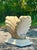 Infuse your interior with the dramatic elegance of the coast with this monumental vintage clam shell table pedestal. This...