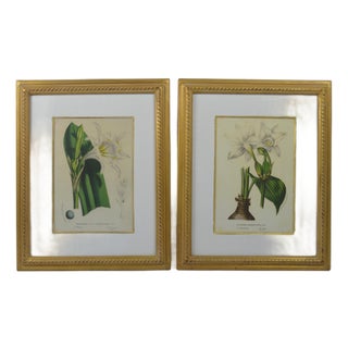 Fine Pair of Trowbridge Giltwood Frames W Floral Lithographs For Sale