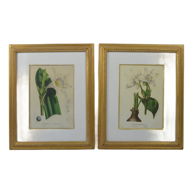Fine Pair of Trowbridge Giltwood Frames W Floral Lithographs For Sale
