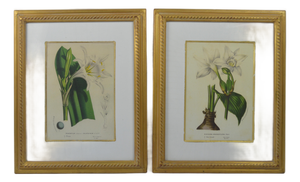 Fine Pair of Trowbridge Giltwood Frames W Floral Lithographs
