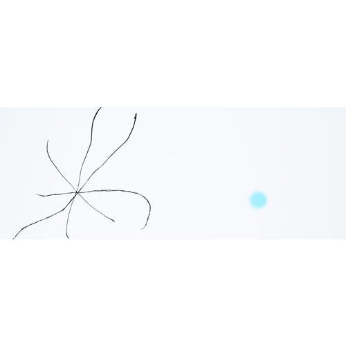 Joan Miro, Spanish Garden with a Star, Signed Silkscreen Print For Sale - Image 5 of 7