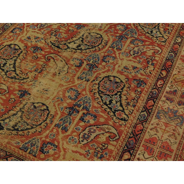 Unusual array of paisly in large scale. Wool pile on cotton foundation. Hand knotted.