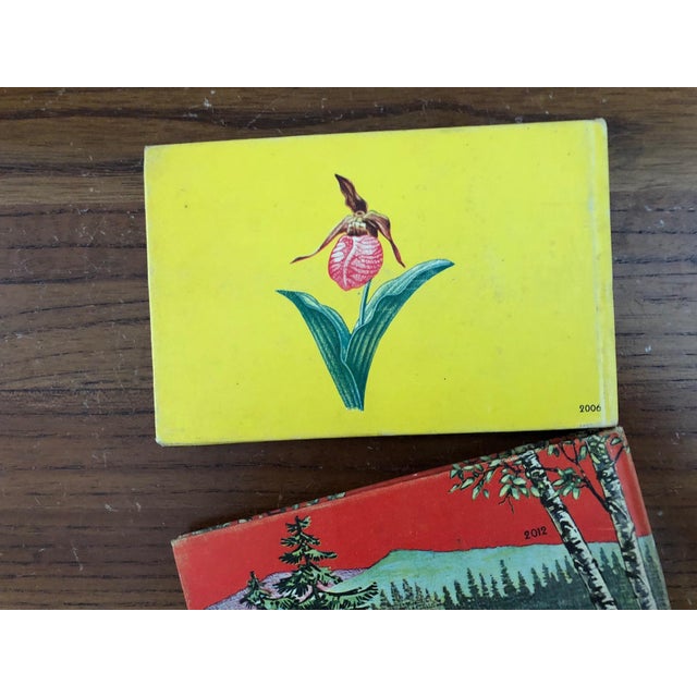 1940s Vintage Tree and Wild Flower Nature Guide Book Set of 2 For Sale - Image 5 of 16