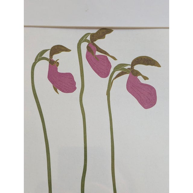 Henry Evans Botanical Linocut Prints Framed- Set of 4 For Sale - Image 14 of 17