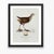 William Lewin 1789 Waterbirds Fine Art Gallery Board Print - The Spotted Gallinule For Sale - Image 12 of 15
