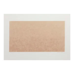 David Diao, Untitled, ScreenPrint