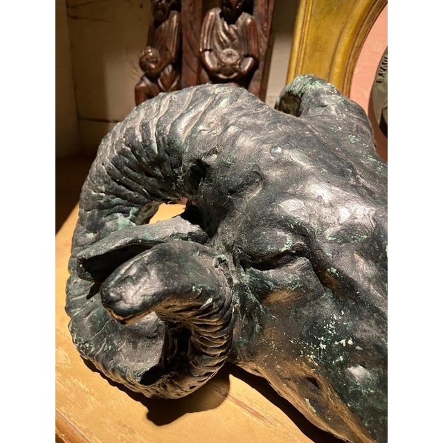Vintage Patinated Plaster Rams Head Sculpture in the Neoclassical Taste For Sale - Image 9 of 11