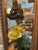 Camel 1980s Oak Curved Glass Lighted Curio Cabinet For Sale - Image 8 of 10