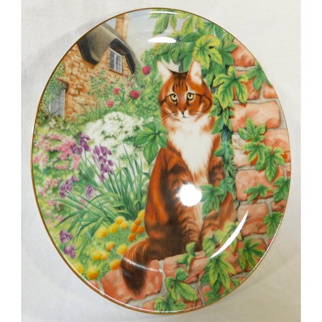 English 1992 Coalport England Silent Watchers Long-Haired Tabby Cat Collector Plate For Sale - Image 3 of 5