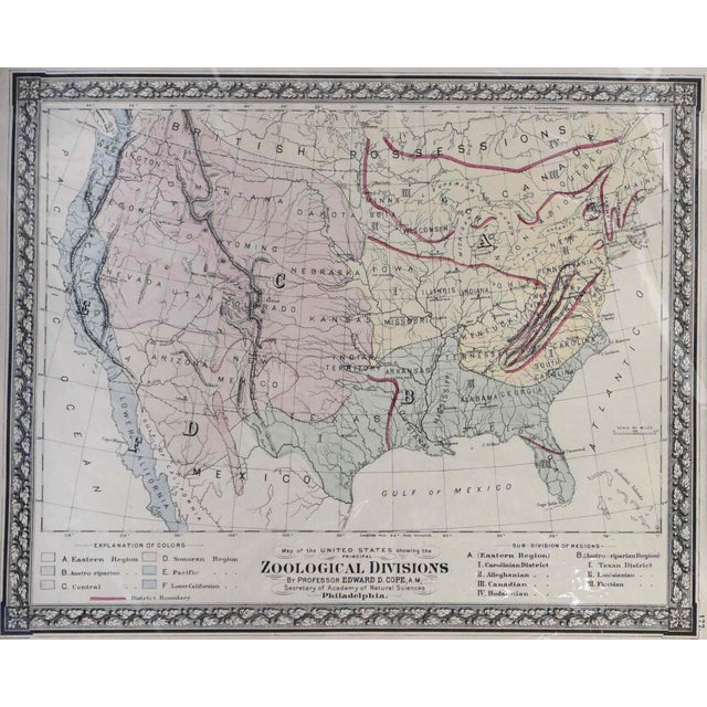 This captivating antique map, measuring 16" x 19", is a rare "Zoological Divisions" map of the United States, originally...