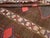Galerie Shabab Collection Mid-20th Century Turkish Anatolian Room Size Carpet For Sale - Image 10 of 10
