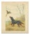 Paul Wood, Setter and Pheasant, 1930s, Lithograph on Paper For Sale