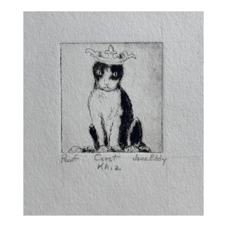Jane Eddy Cat Etching From Crest Series For Sale