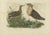 Sepp & Nozeman, Illustration of the Ruff Bird, 1770, Print For Sale