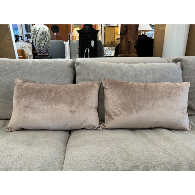 2020s Williams-Sonoma Taupe Lumbar Pillows, Pair For Sale - Image 5 of 12