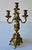 A Pair of Renaissance Revival Style Cast Brass Five Light Candelabra. Measures 8.5" in width, 8.5" in depth and 21" in...