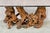 Vintage Sculptural Burlwood Dining Table with Glass Top. Organic modern table features a naturally formed intertwined...