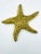 Mid 20th Century Solid Brass Starfish For Sale - Image 12 of 12