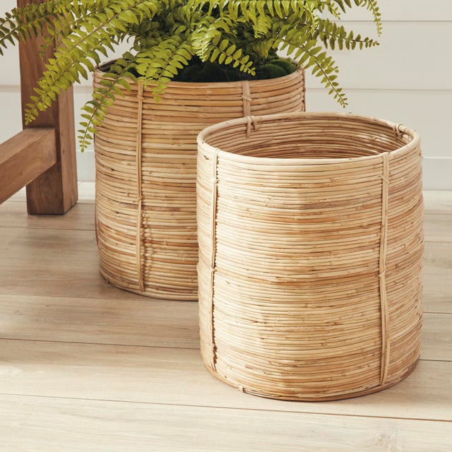Boho Chic Cane Rattan Round Tree Baskets, Set Of 2 For Sale - Image 3 of 4