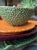 Fruit Plates by Bordallo Pinheiro, Set of 4 For Sale - Image 4 of 6