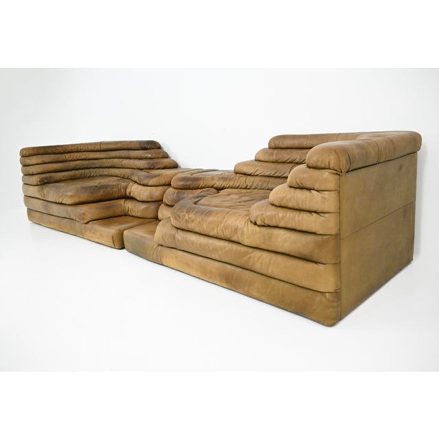 DS-1025 Terrazza Sofa by Ubald Klug for de Sede, 1970s, Set of 2 For Sale - Image 4 of 13