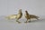 Vintage Italian Decorative Sculptural Goldtone Male Female Pheasants Mid Century-a Pair For Sale - Image 10 of 16